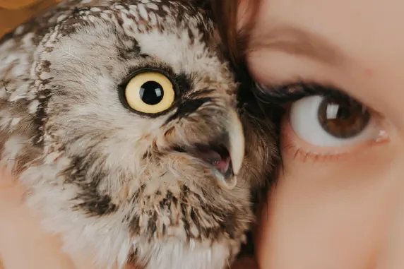 Kazino Palace of Chance Pagalba